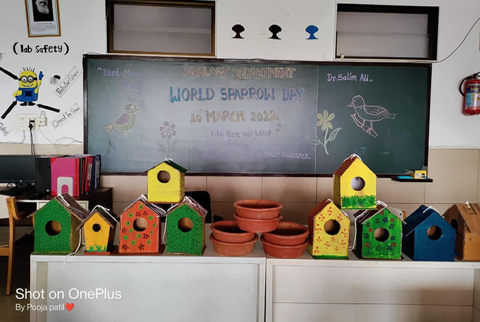 Sparrow Houses made by Students and Feeders for Water and Grains on occasion of World Sparrow Day.