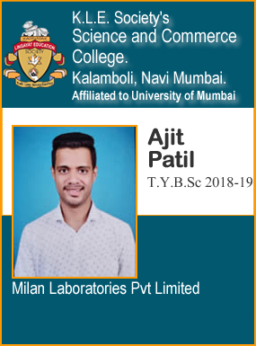 Mr. Ajit Patil (Placement)