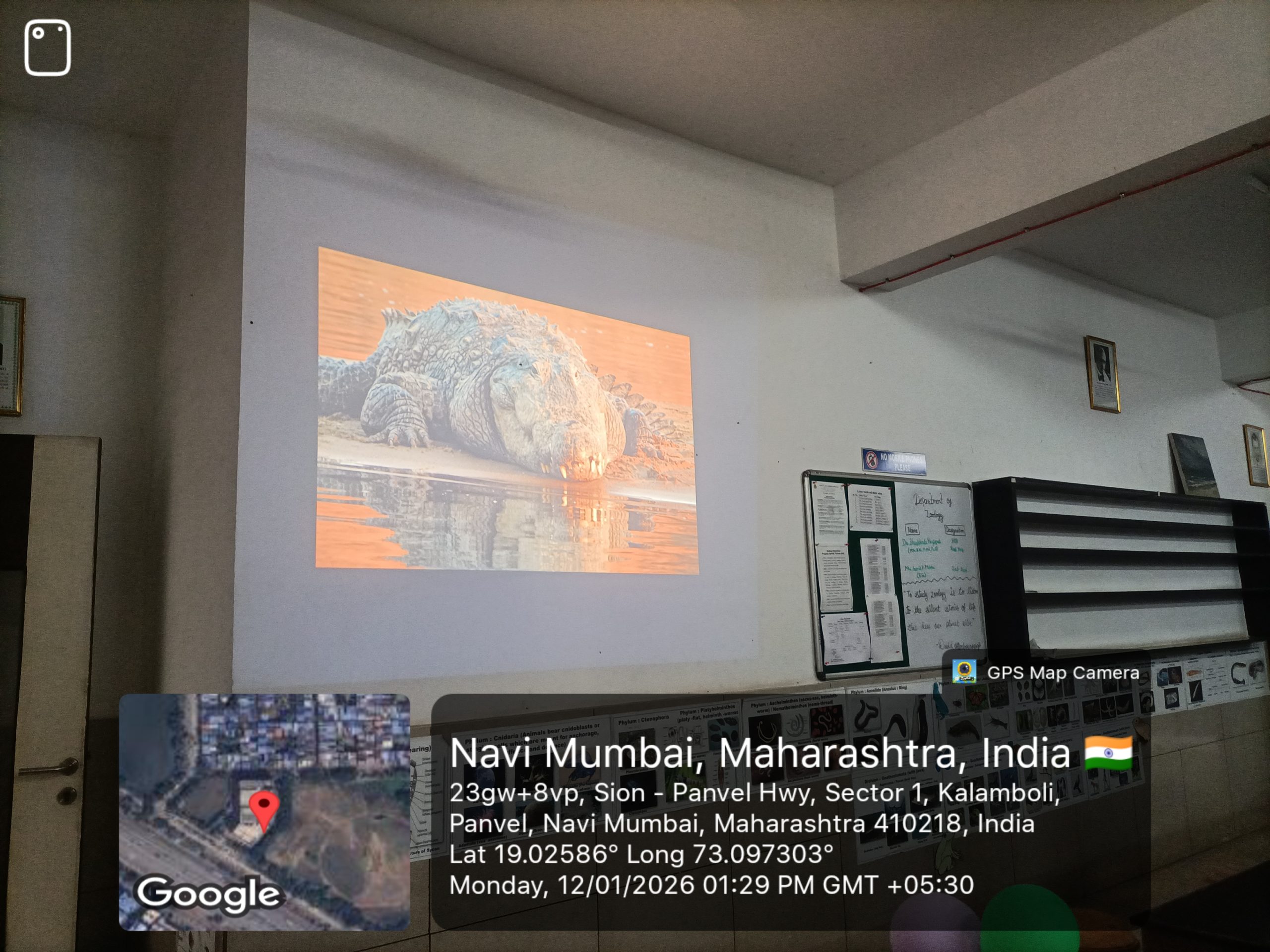 Zoology Fest 015 scaled