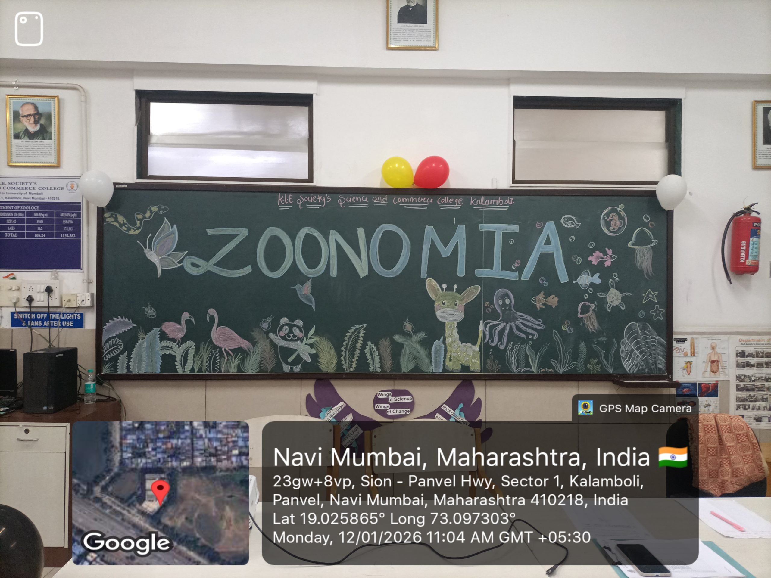 Zoology Fest 033 scaled