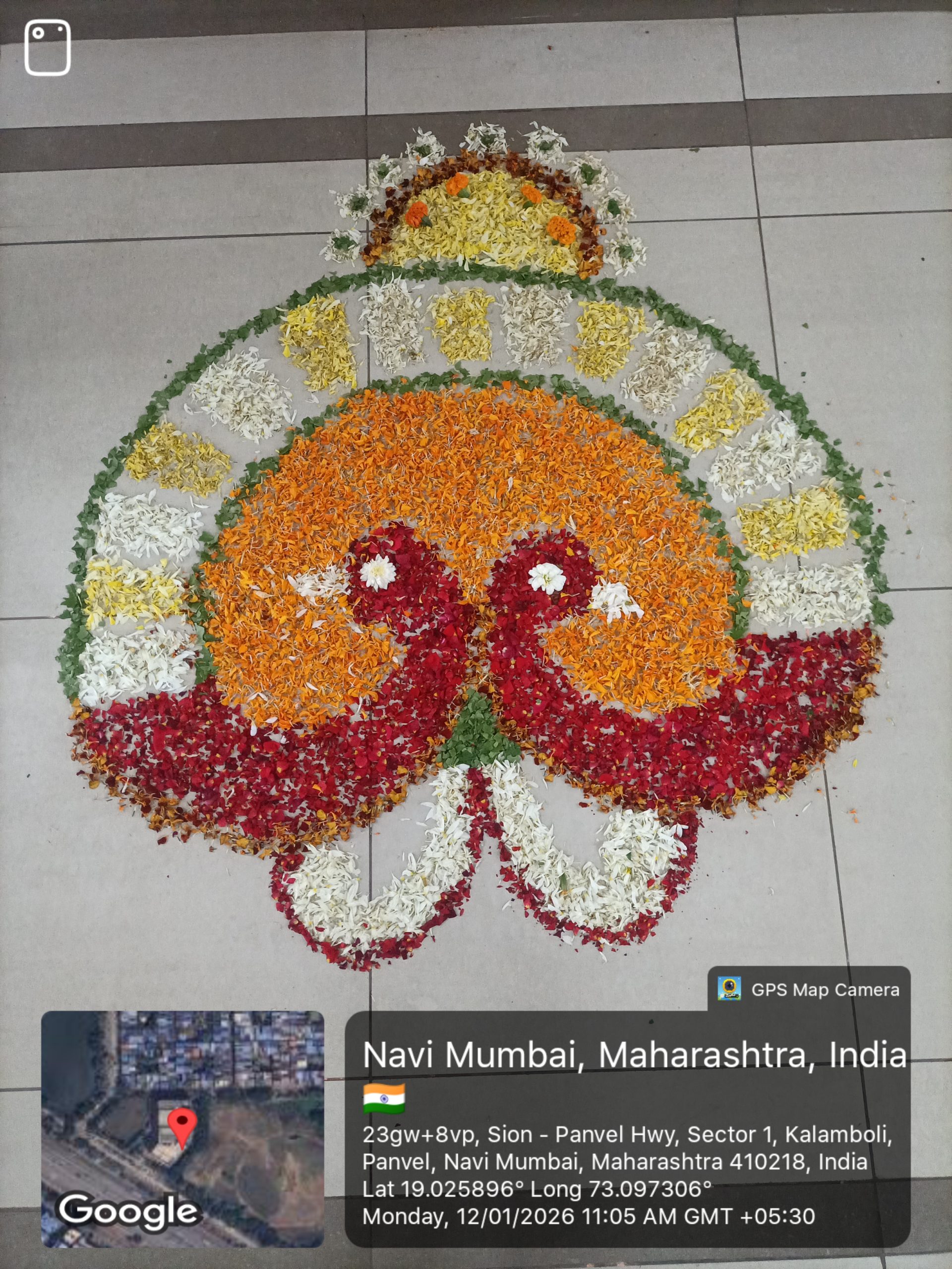 Zoology Fest 034 scaled