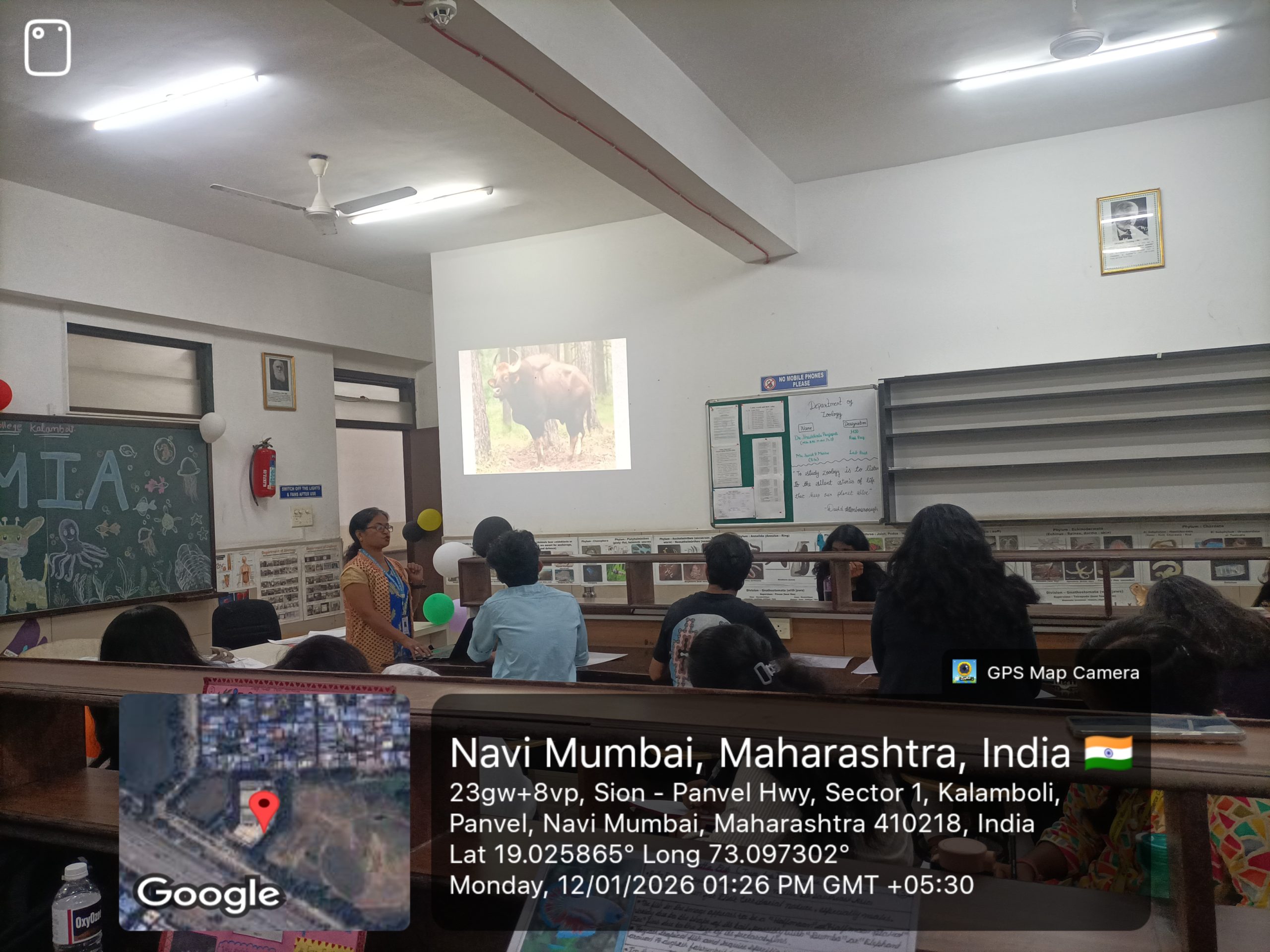 Zoology Fest 08 scaled